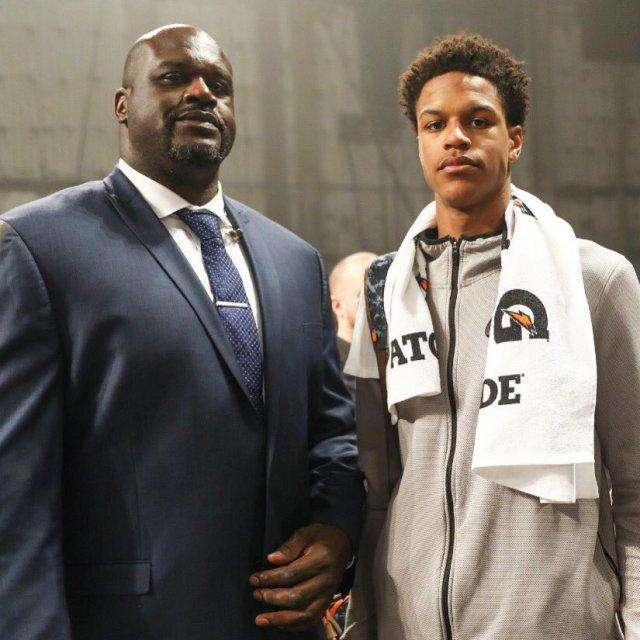 槌将球砸入 槌将球砸入