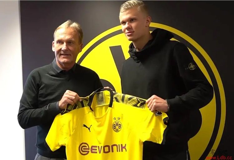 网前与发接 网前与发接